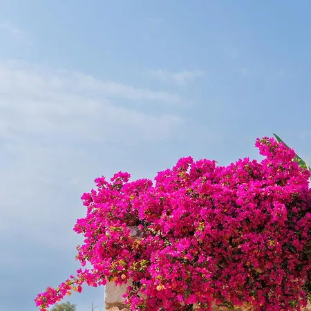 Iliana's House - Spacious Cave House In The Center Of