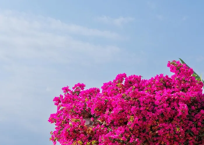 Iliana's House - Spacious Cave House In The Center Of